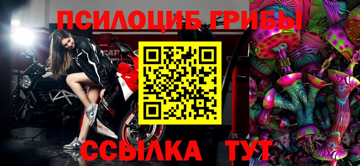 как найти наркотики  Галлюциногенные грибы ЛСД  Галлюциногенные грибы Magic Shrooms  Вход с VPN  Богданович 