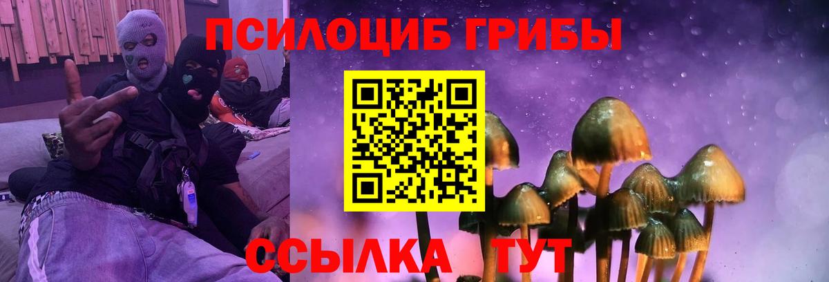 Галлюциногенные грибы GOLDEN TEACHER Богданович